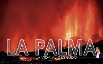 LA PALMA, La Vida al Desnudo