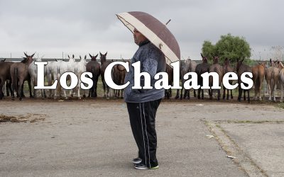 Los Chalanes