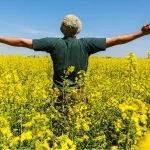 El quehacer de cada día