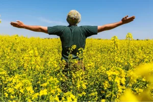 El quehacer de cada día