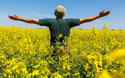 El Quehacer de Cada Día
