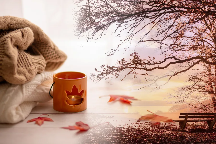 IMAG-ECOSdeNOVIEMBRE-Grazie-magazine Ecos de Noviembre