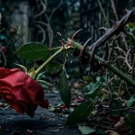 Fotografía artística de una rosa roja intensa, viva y lozana en primer plano, con pétalos perfectos, pero mostrando grandes espinas mutadas en afiladas garras de hierro gris que desgarran su propio tallo leñoso, simbolizando la vitalidad del poder que se autodestruye por su propia armadura.