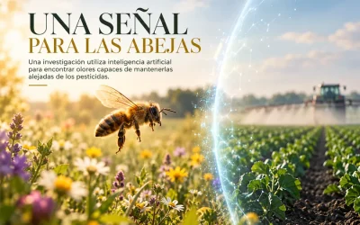 UNA SEÑAL PARA LAS ABEJAS