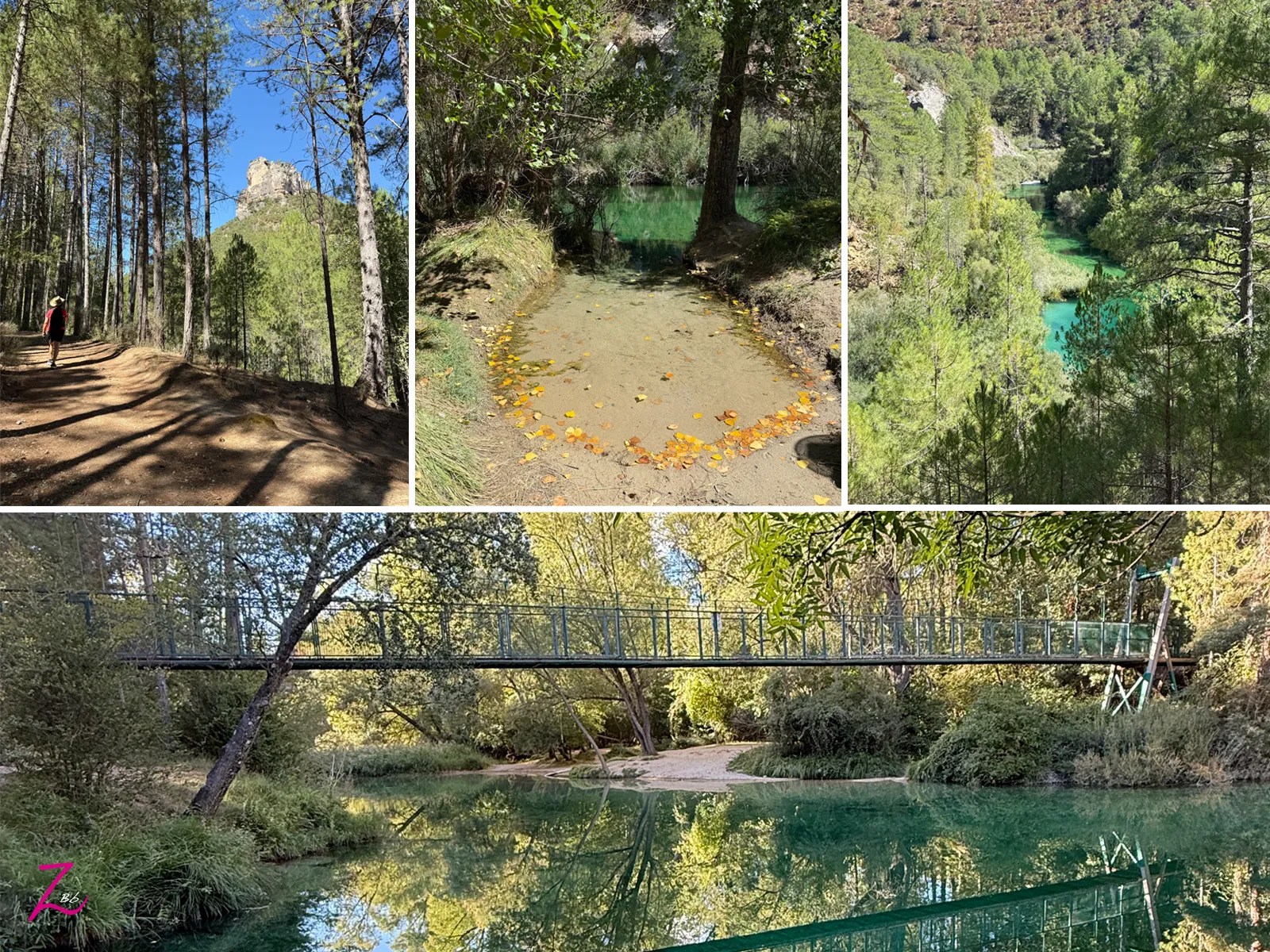 Camino entre pinares hacia el Salto de Poveda junto a las aguas del Alto Tajo