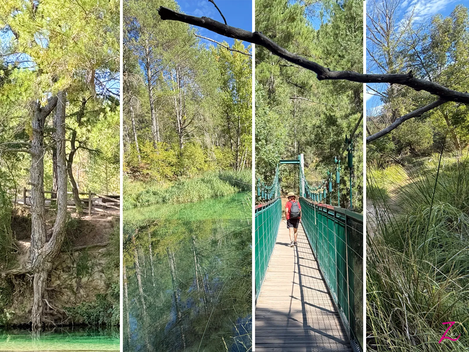 Camino junto al agua y bosque en la ruta del Salto de Poveda y Laguna de Taravilla